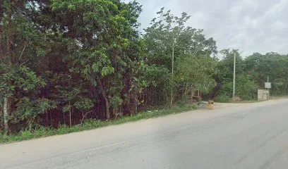 Lotes santa librada