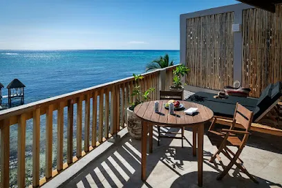 Alea Tulum