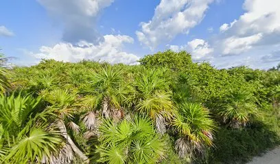 Casa Palmas Xamach Dos