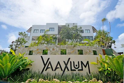 Oasis Yaaxlum