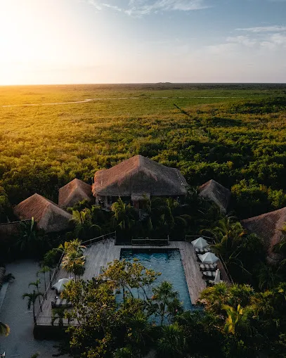 Radhoo Tulum