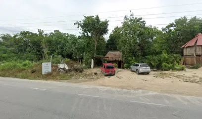 Amigo Faisan