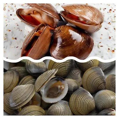 Pescaderia La Selva