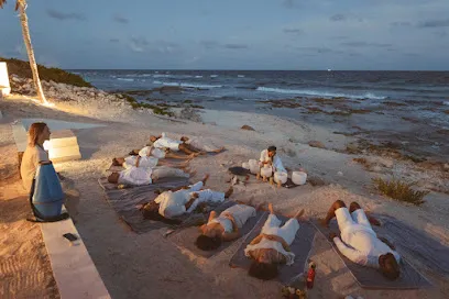 Yoga in Tulum